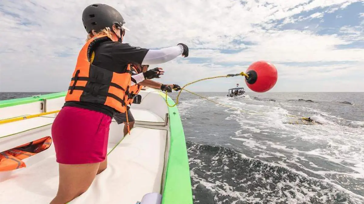 UABCS colabora en programa de asistencia a ballenas