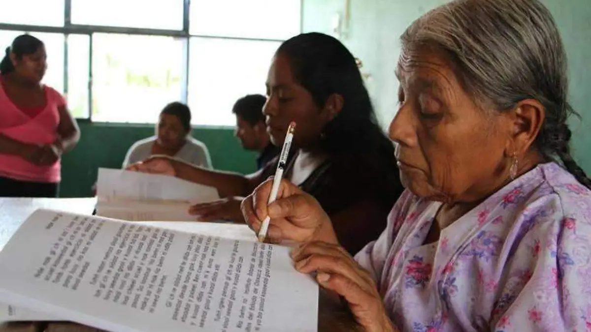 ieea educacion