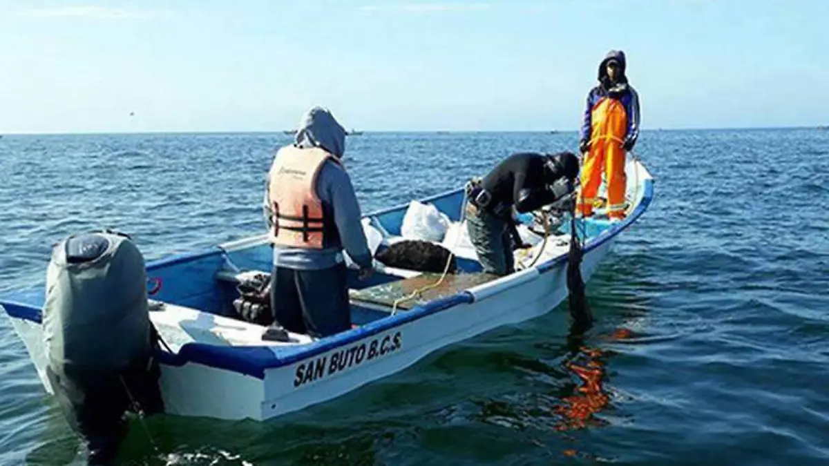 Demandas de pescadores de BCS