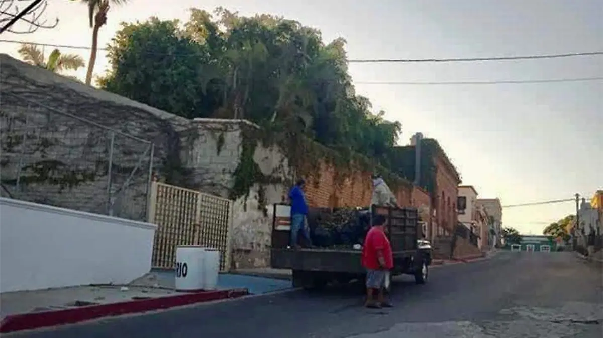 Basura calles Todos Santos