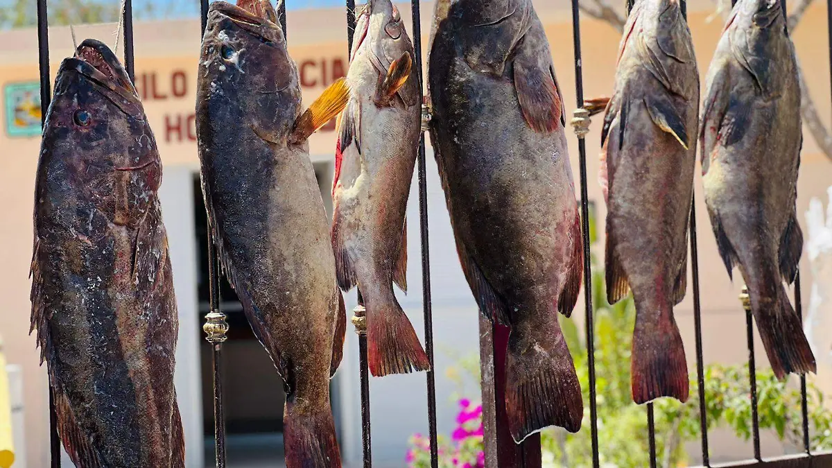 pescado