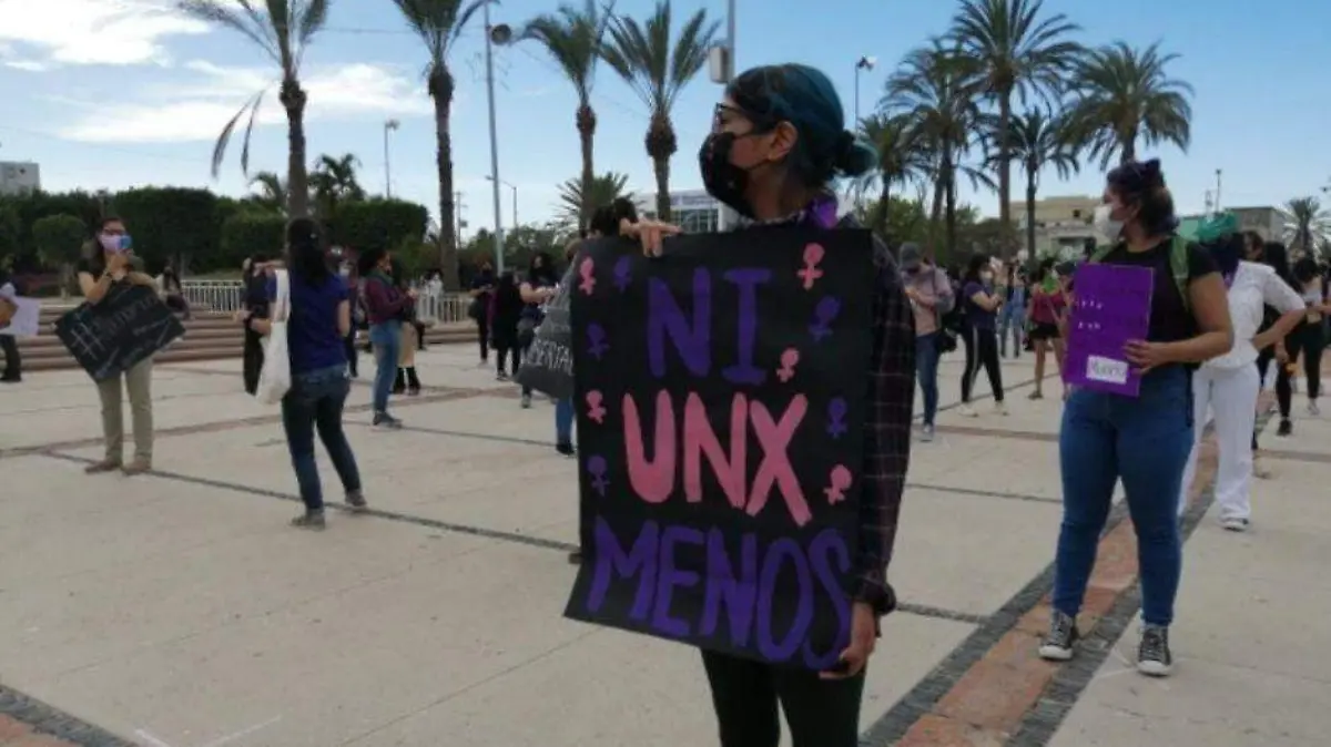 Feministas BCS