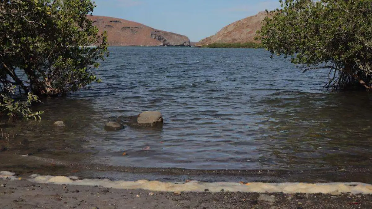 Ecocidio en Balandra