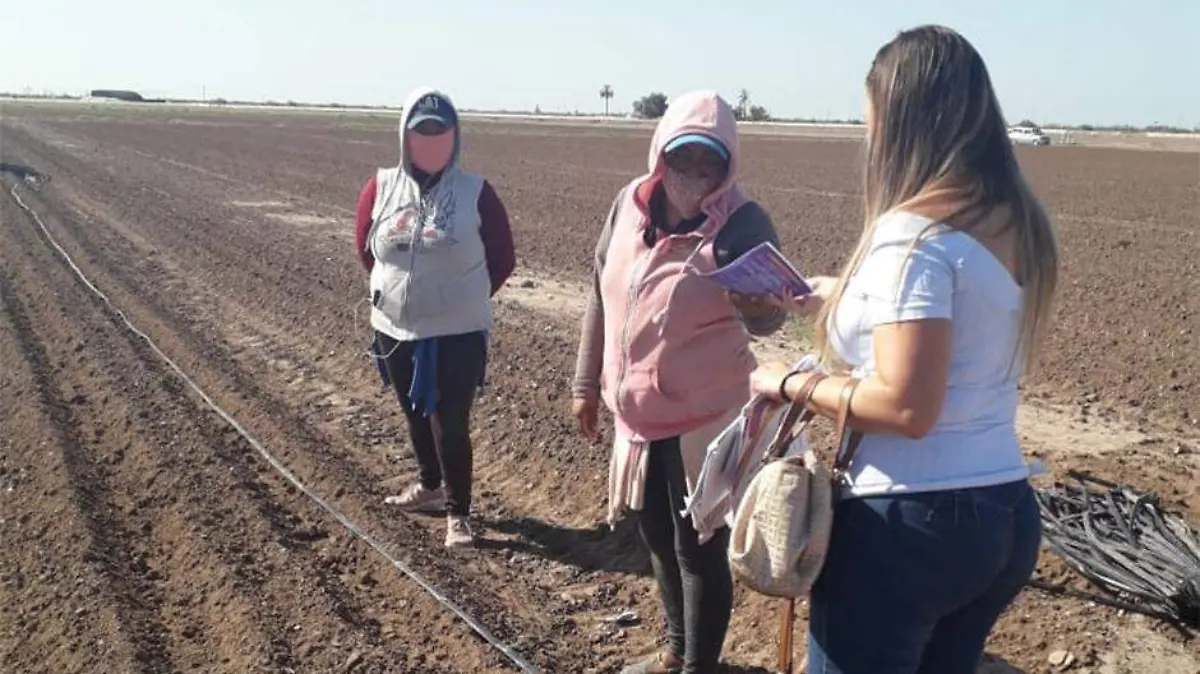 Mujeres agricolas
