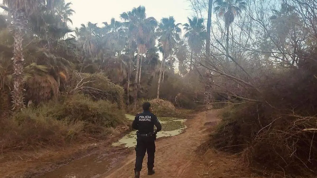 Vigilancia estero los cabos
