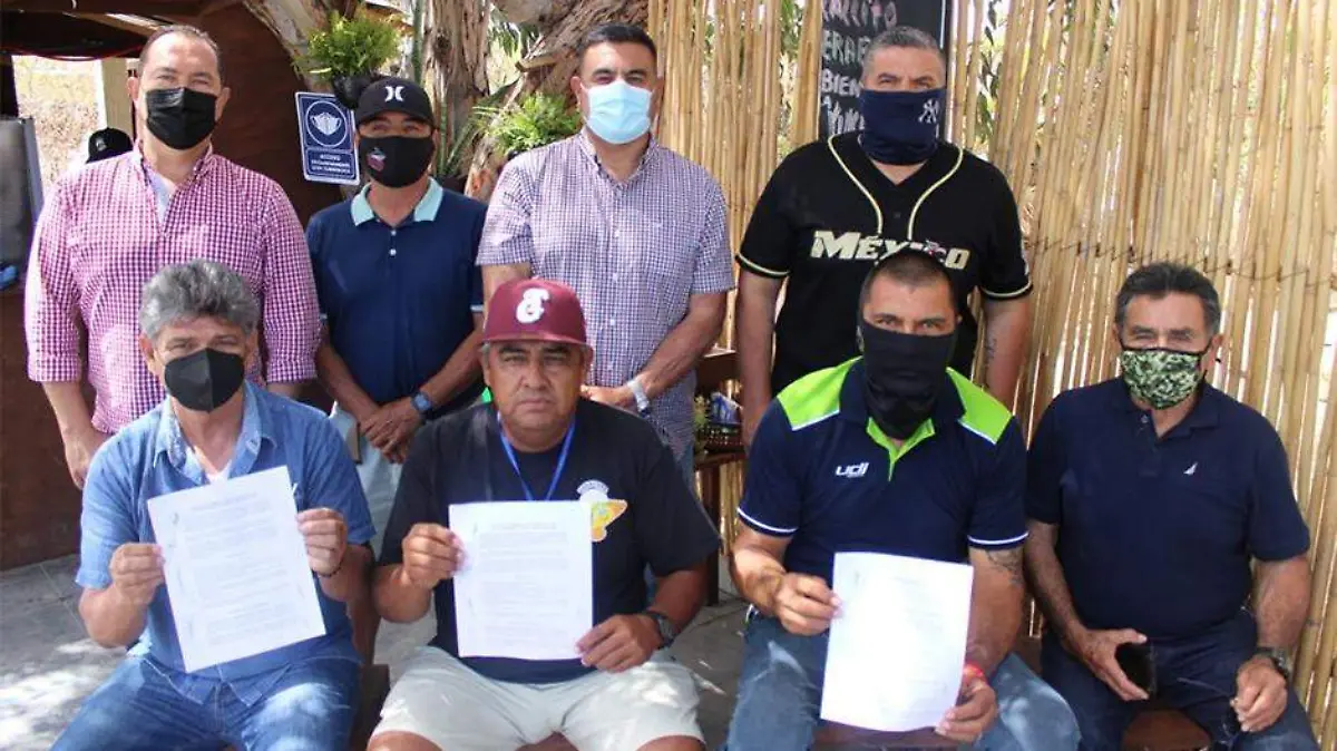 Liga beisbol Sudcalifornia