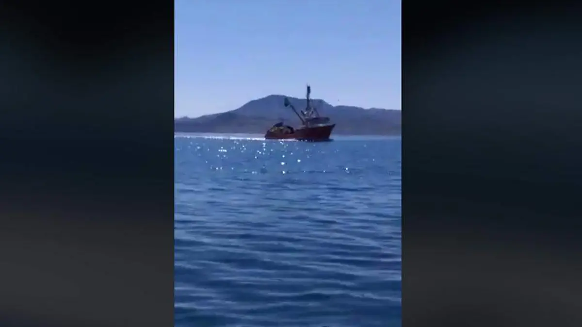 sardineros Bahía