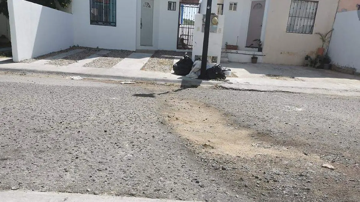 Baches calle los cabos