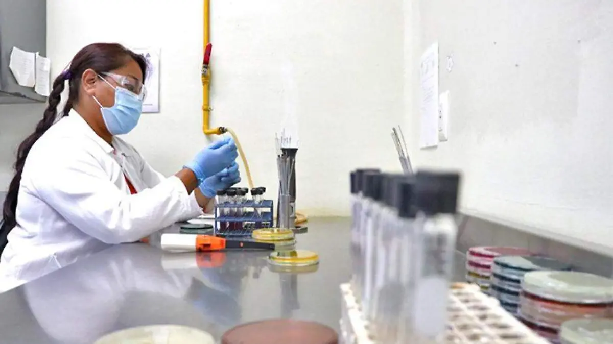 Laboratorio estatal de salud pruebas