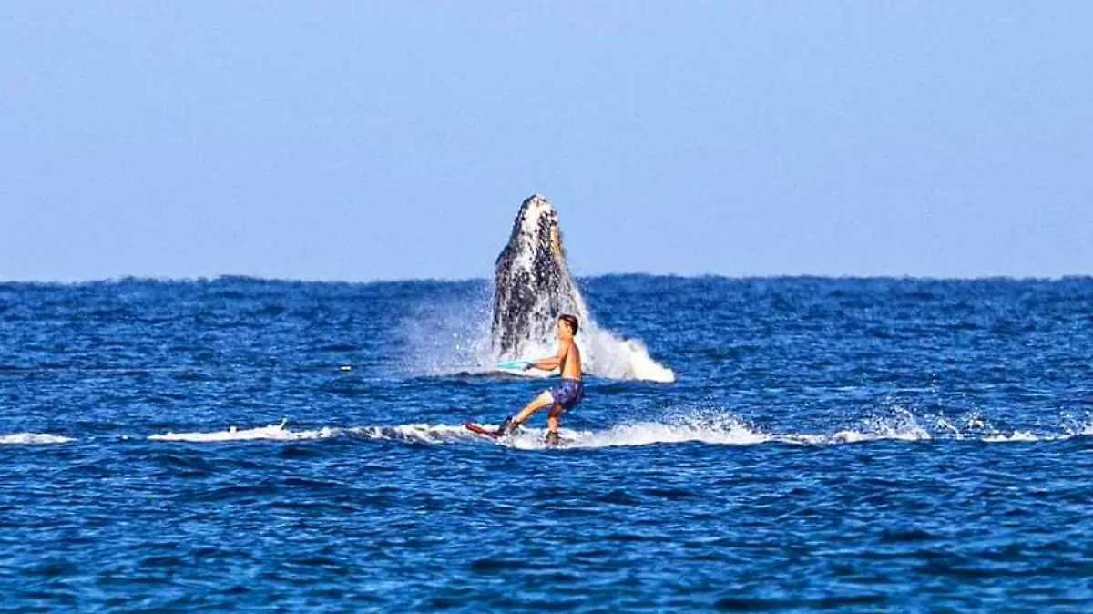 Nino esquiando junto a ballena 2