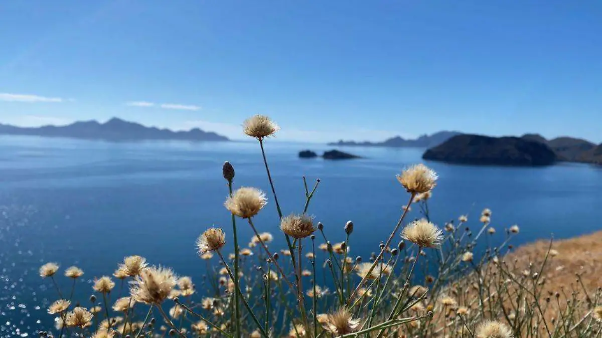 Loreto gana premio como mejor Parque Nacional