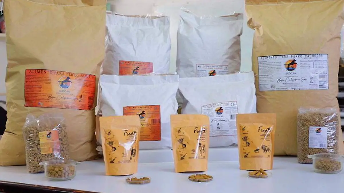 Dintintivo Hecho en BCS