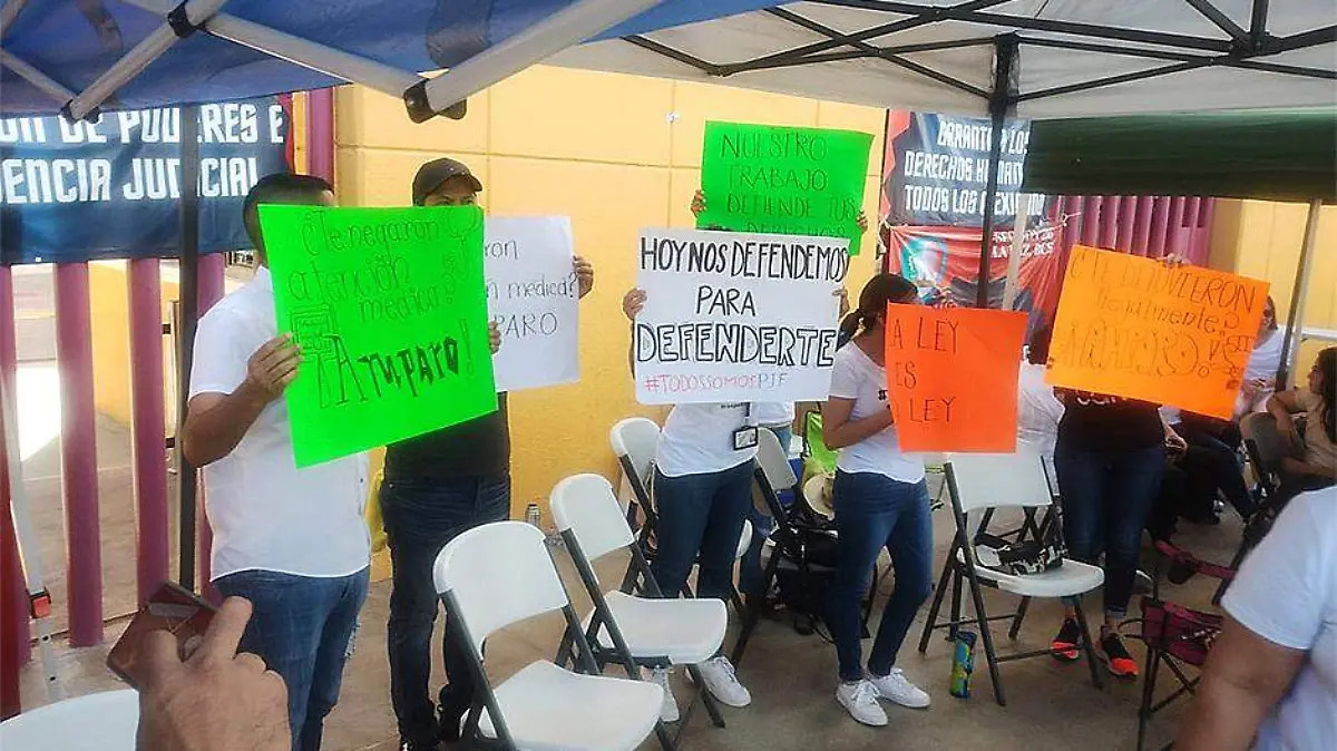 desmienten a amlo PJF