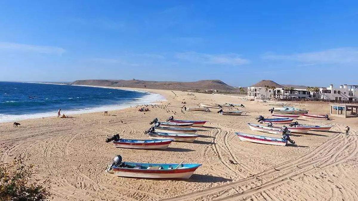 aya punta lobos orden