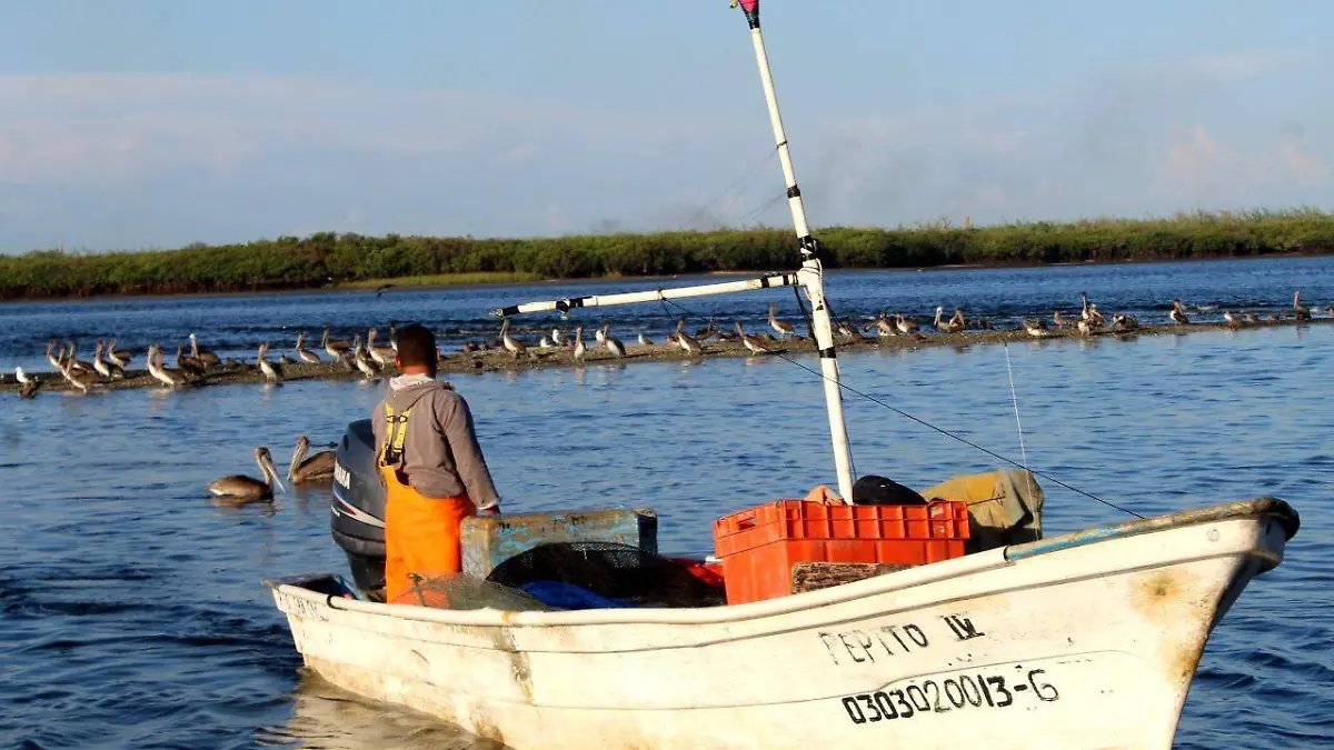 lancha pescador productor mar