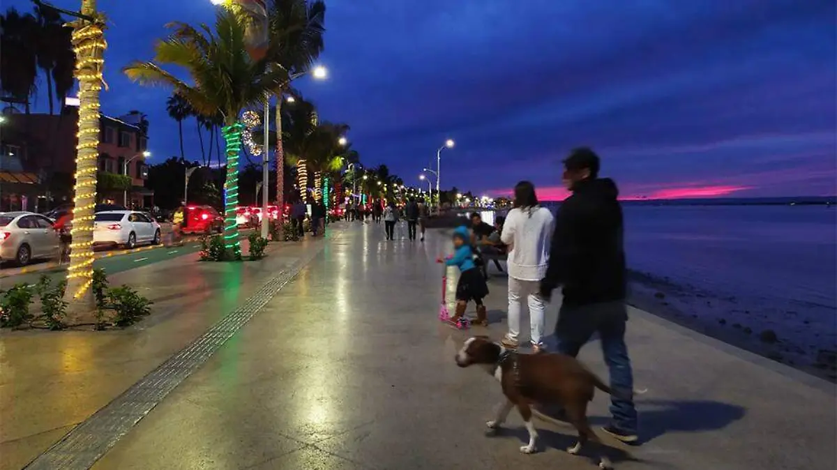Perro mascotas malecón