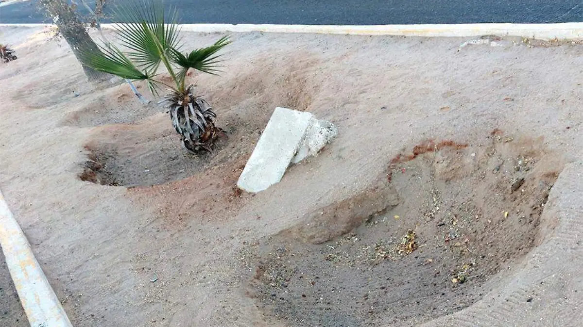 Hoyos en camellones un peligro