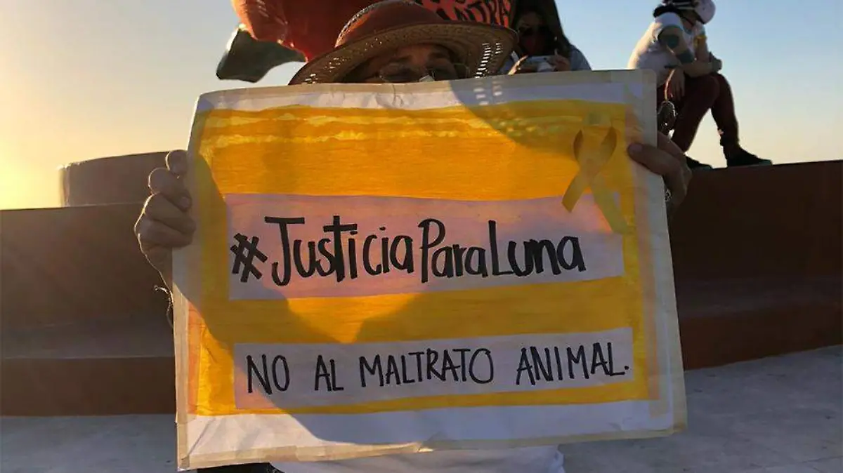 Justicia para Luna peerita