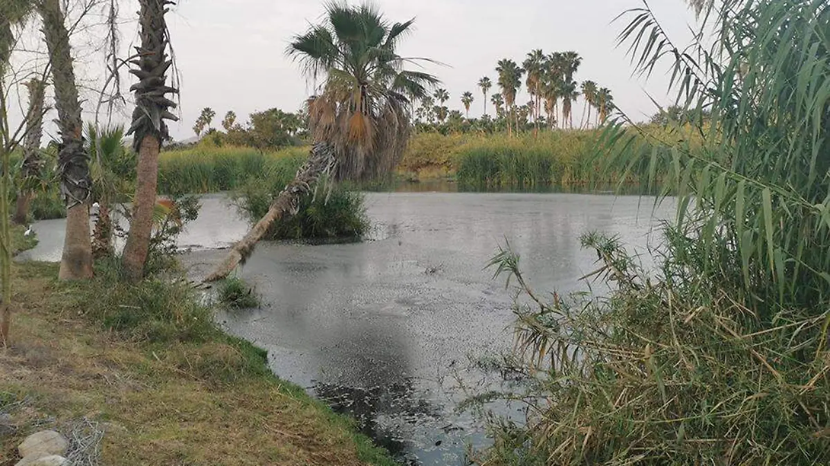 Estero Josefino San Jose del Cabo