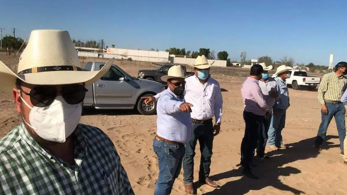 Productores Comondu 2