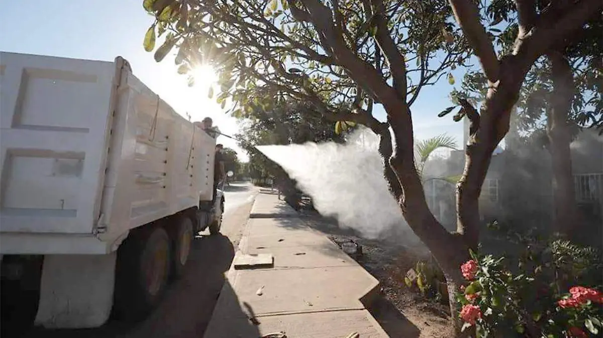 Fumigar caminón