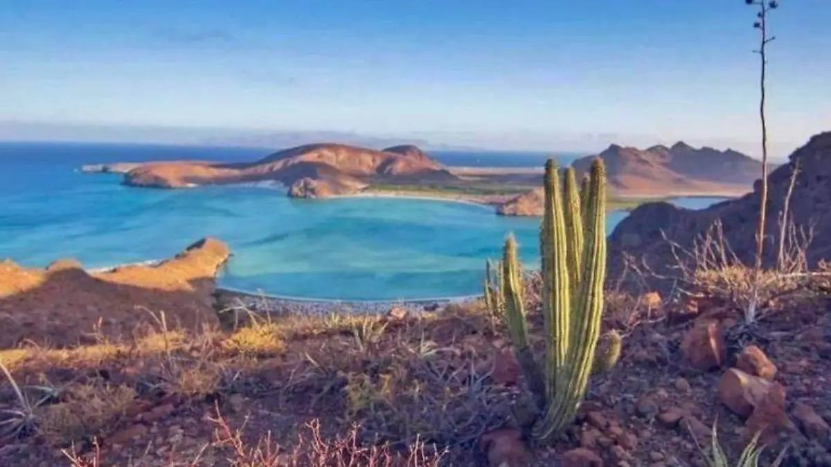 Gobierno del Estado fomentara educacion ambiental 1