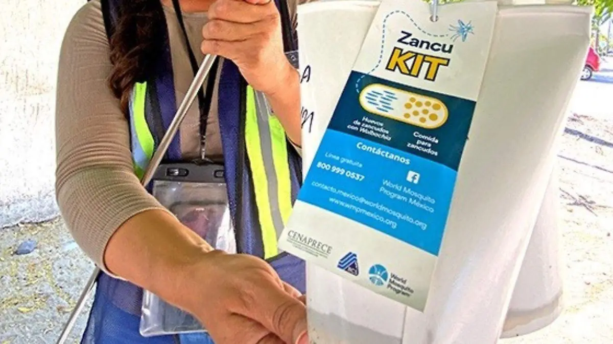 Programa mosquito dengue 1