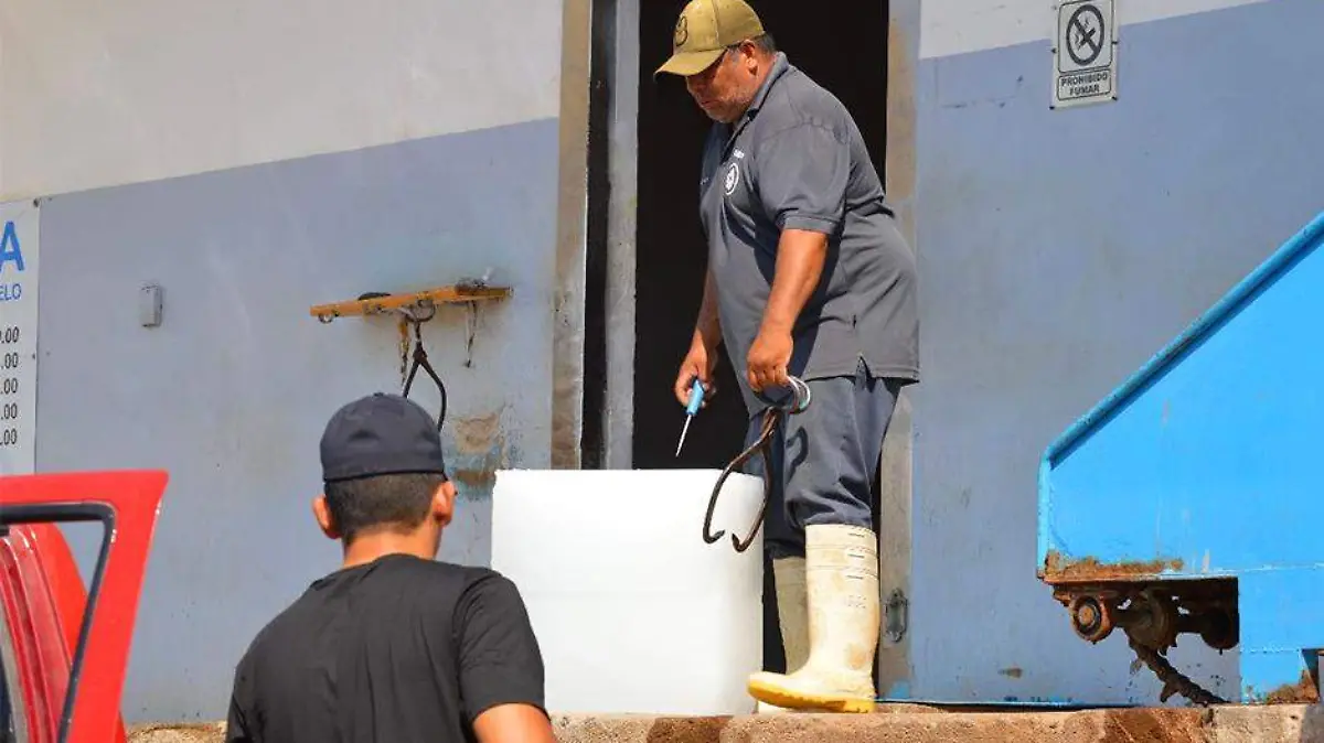 Ola de calor aumenta venta de hielo