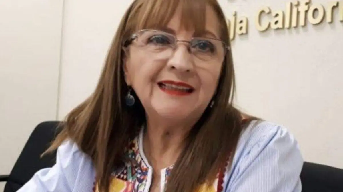 Marina Garmendia consulta popular INE BCS