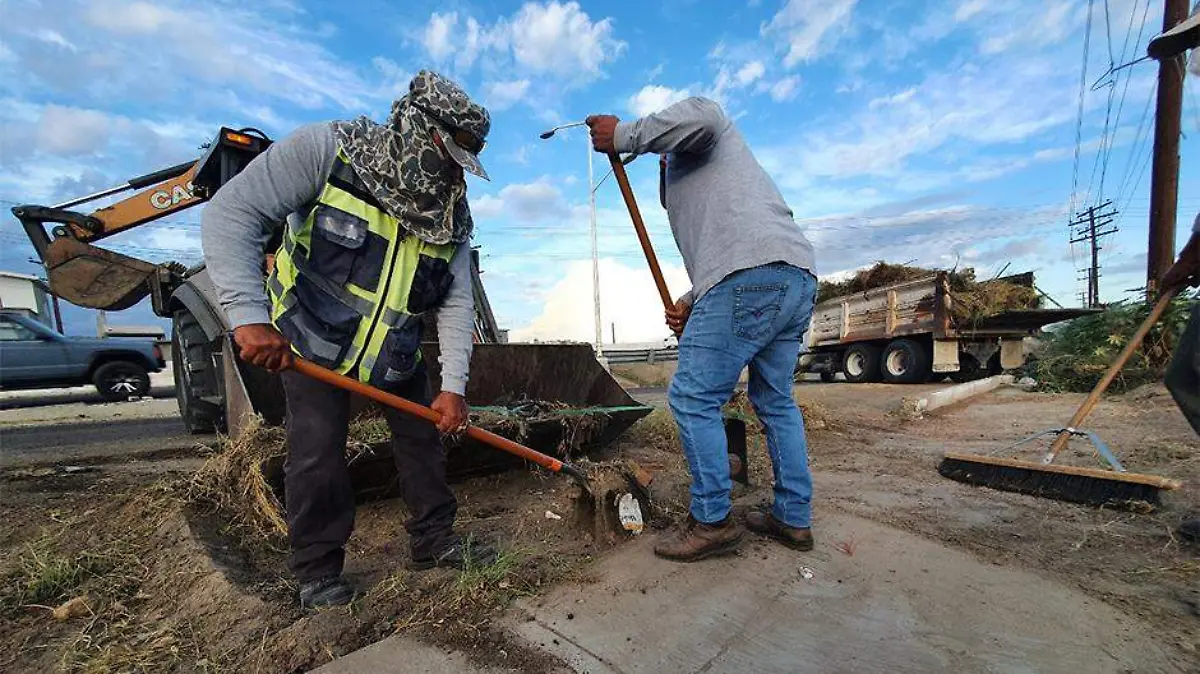 Servicios Publicos limpieza calles y camellones