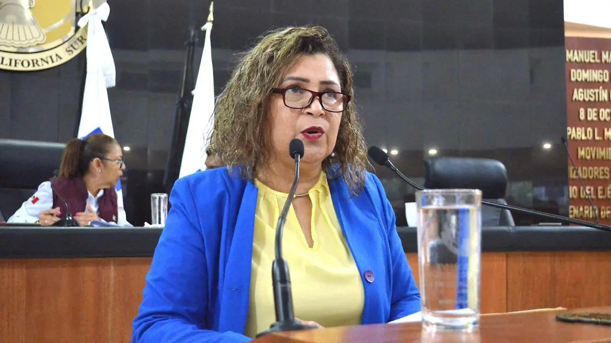 llama diputada ojeda