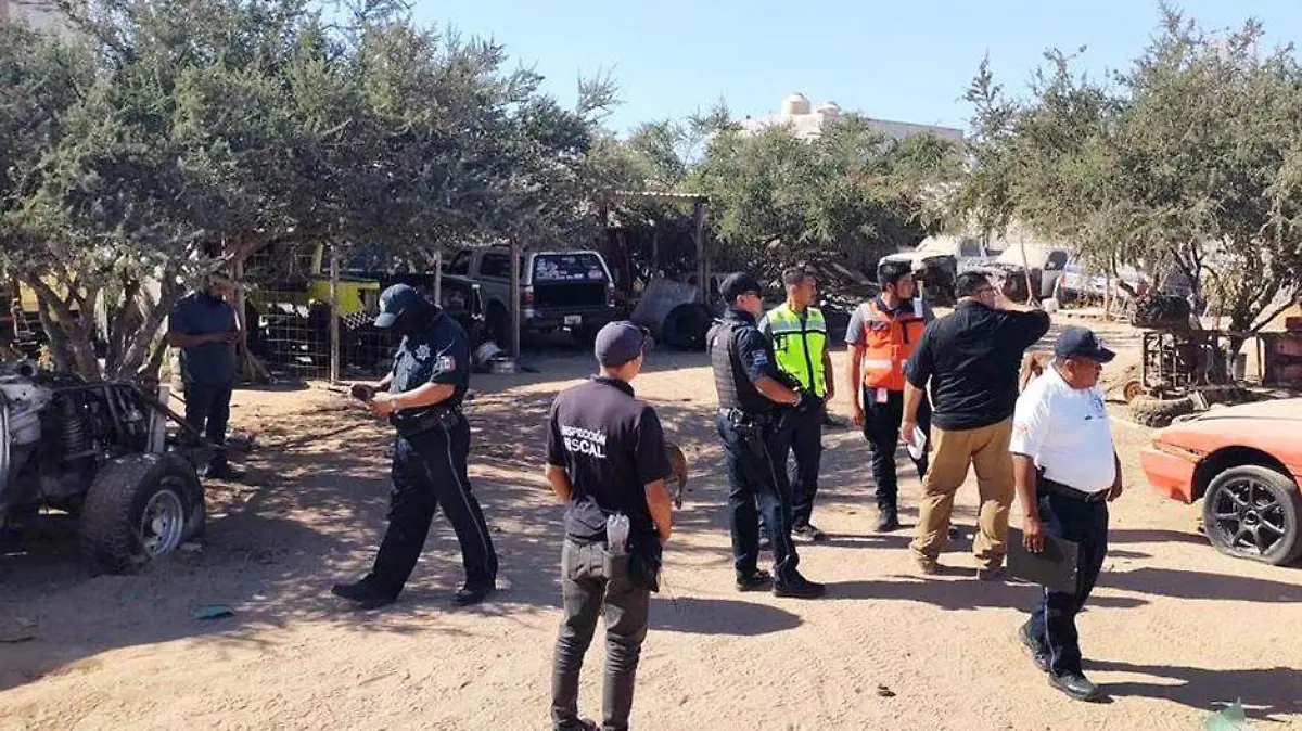 Inpecccion negocios Los Cabos