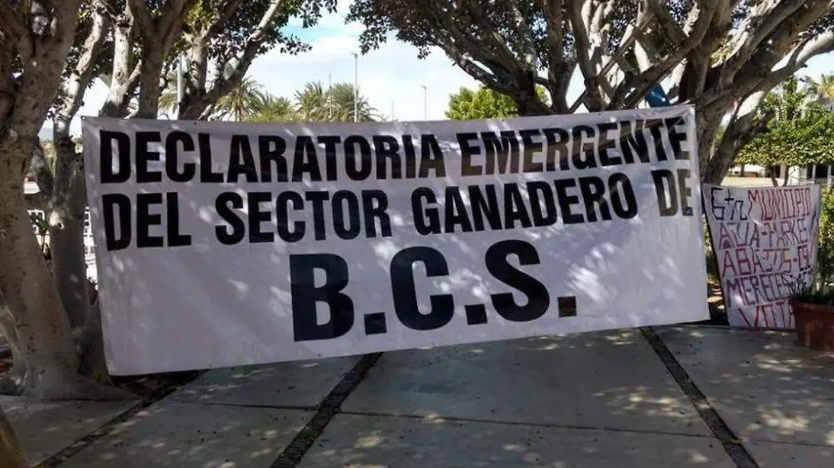 Sequía BCS