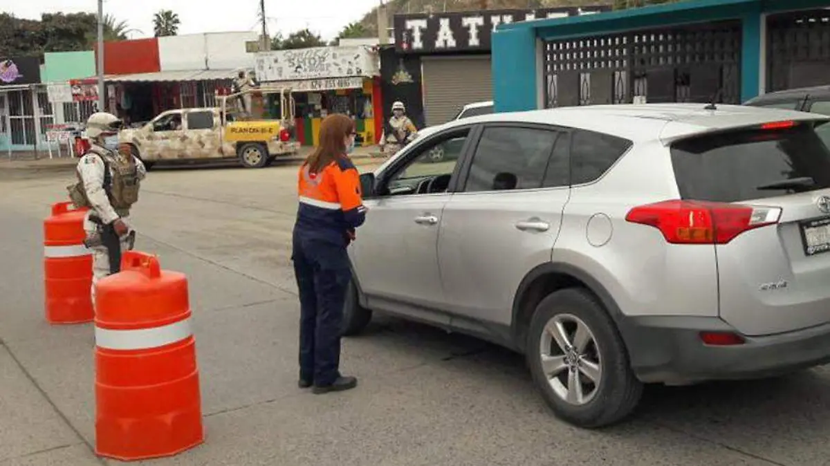 Filtro sanitario Los Cabos