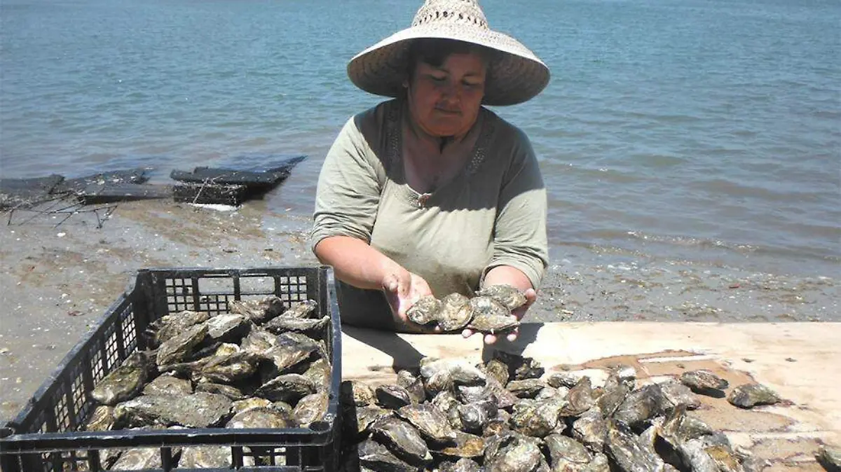 proyectos acuicolas encabezados mujeres