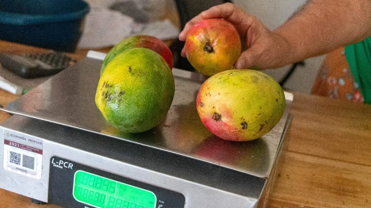 Fruta negocios local mango