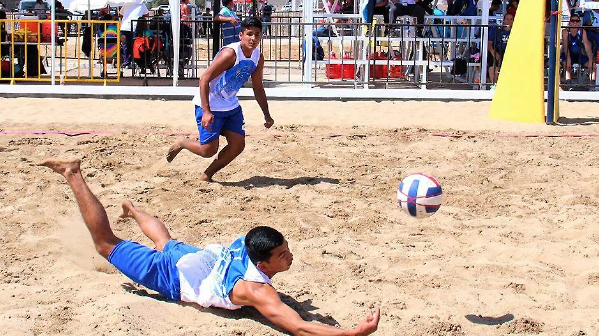 Voleibol