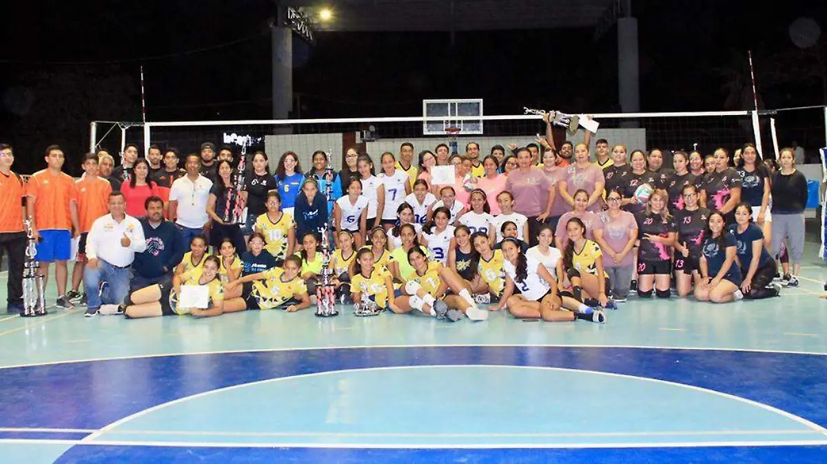 voleibol