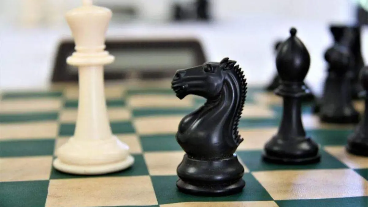 alcalde Comondú (9)