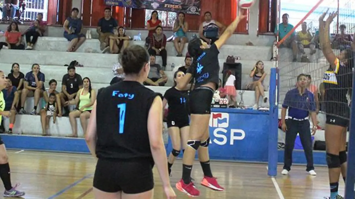Voleibol