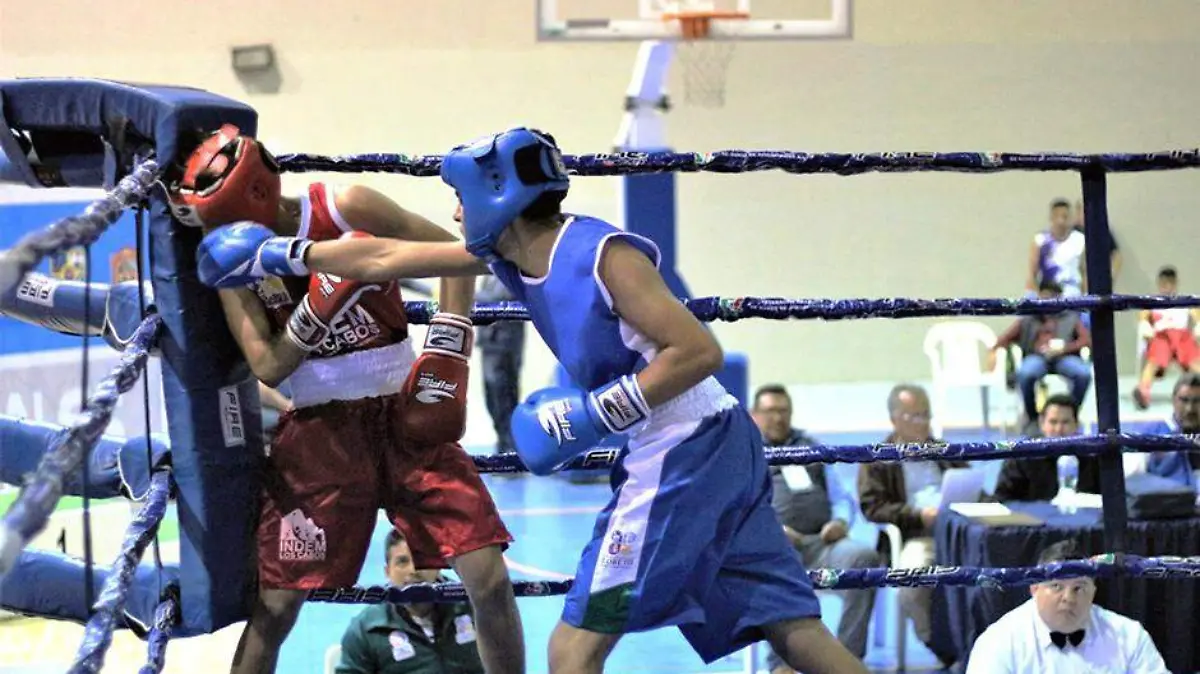 Boxeo