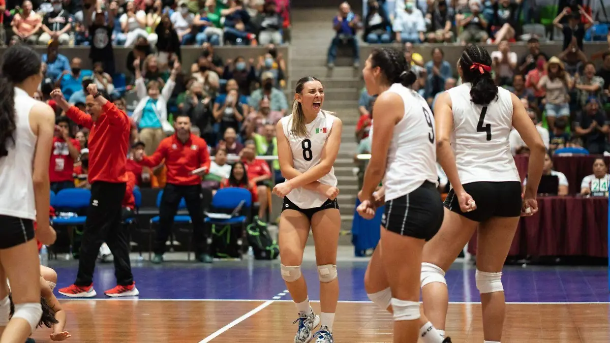 Voleibol Panamericana