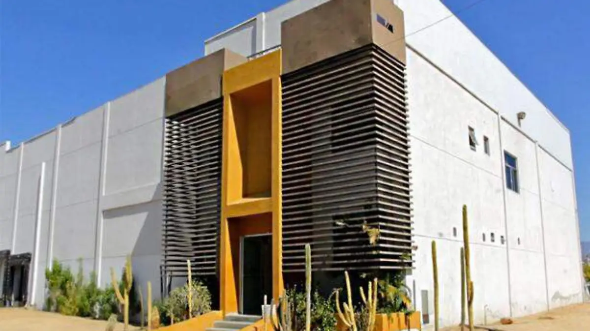 Rastro-Municipal-de-Los-Cabos-990x660