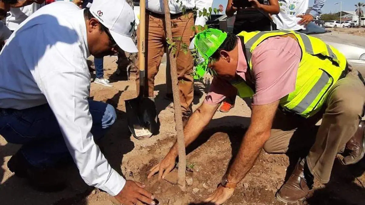 Árbol por la esperanza (1)