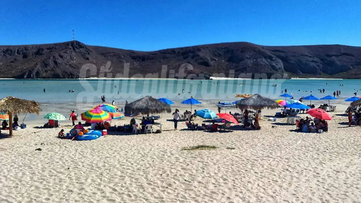 12 Abr DPR 02 Balandra empieza a llenarse de vida Mayra Carrizales 1