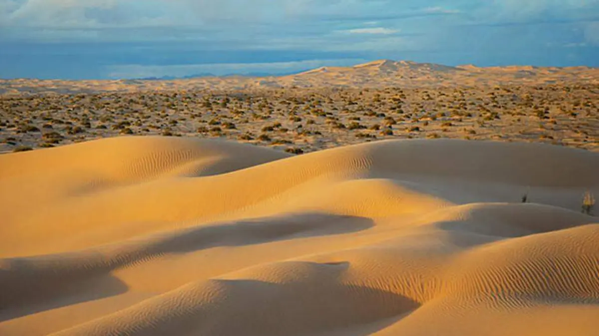desierto Sonora