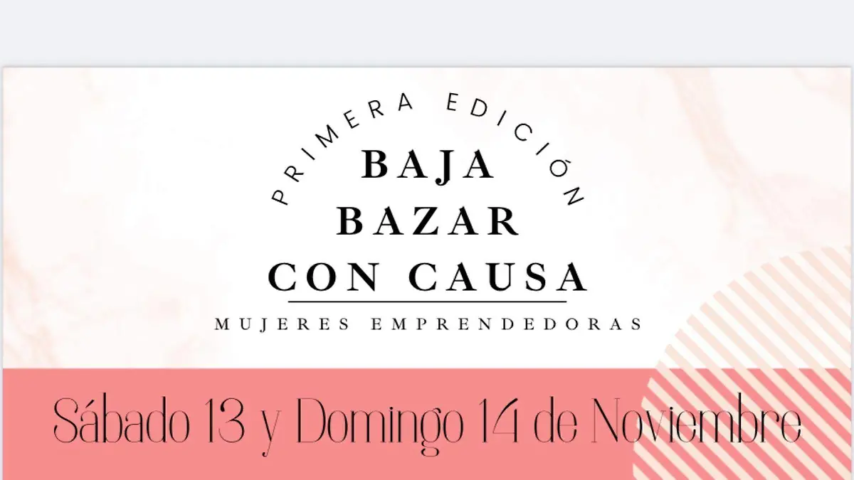 Baja Bazar con causa