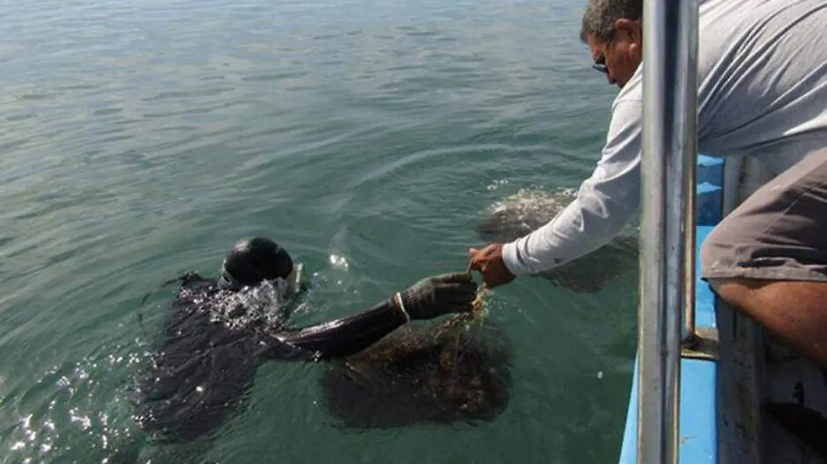28 Abr DPR 02 El Manglito, mucho más que familias de pescadores Mayra Carrizales