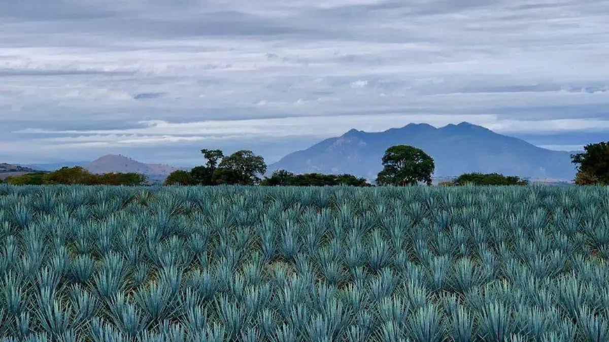 Foto - 2021-05-22T151434.263