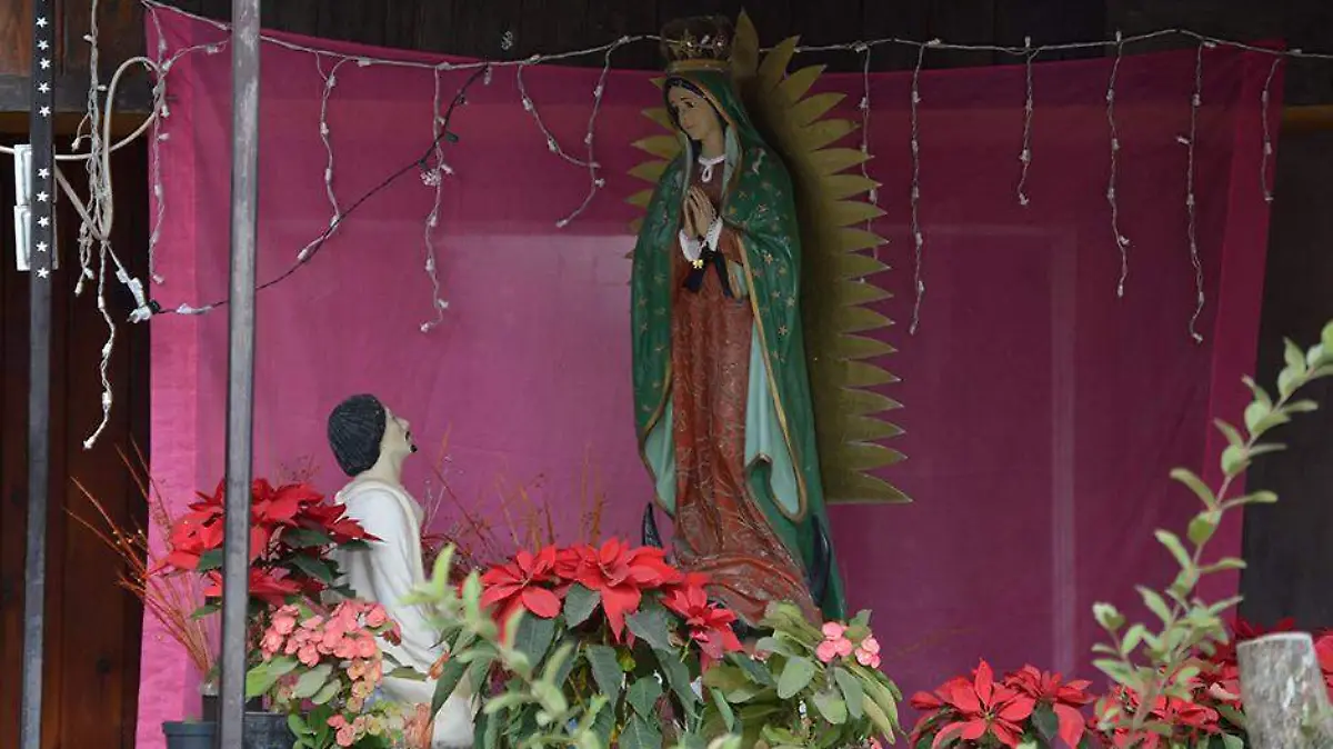 Altar Virgen de Guadalupe 02